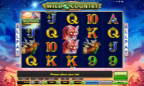 Slot Machine Wild Country