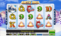 Spielautomat Arctic Race